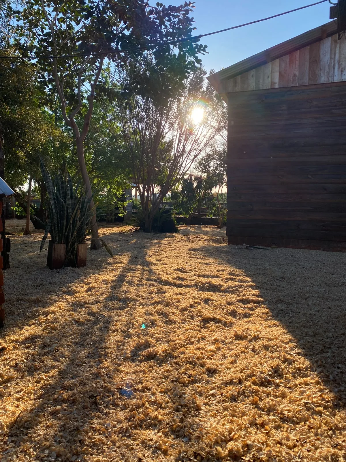 Patio de Granja Luma al atardecer