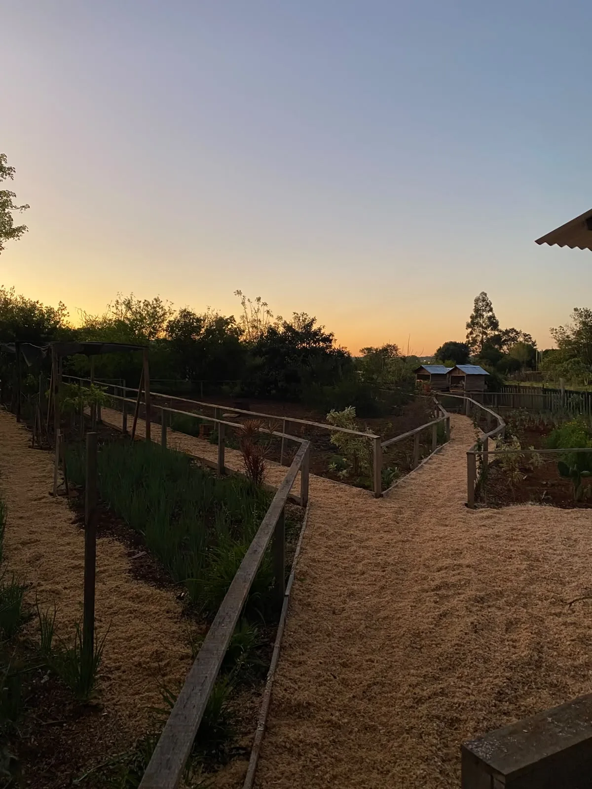 Huerta de Granja Luma al atardecer